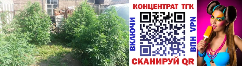 mega рабочий сайт  где продают   Балашиха  ТГК вейп с тгк 