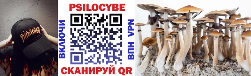 Галлюциногенные грибы мухоморы  Балашиха 