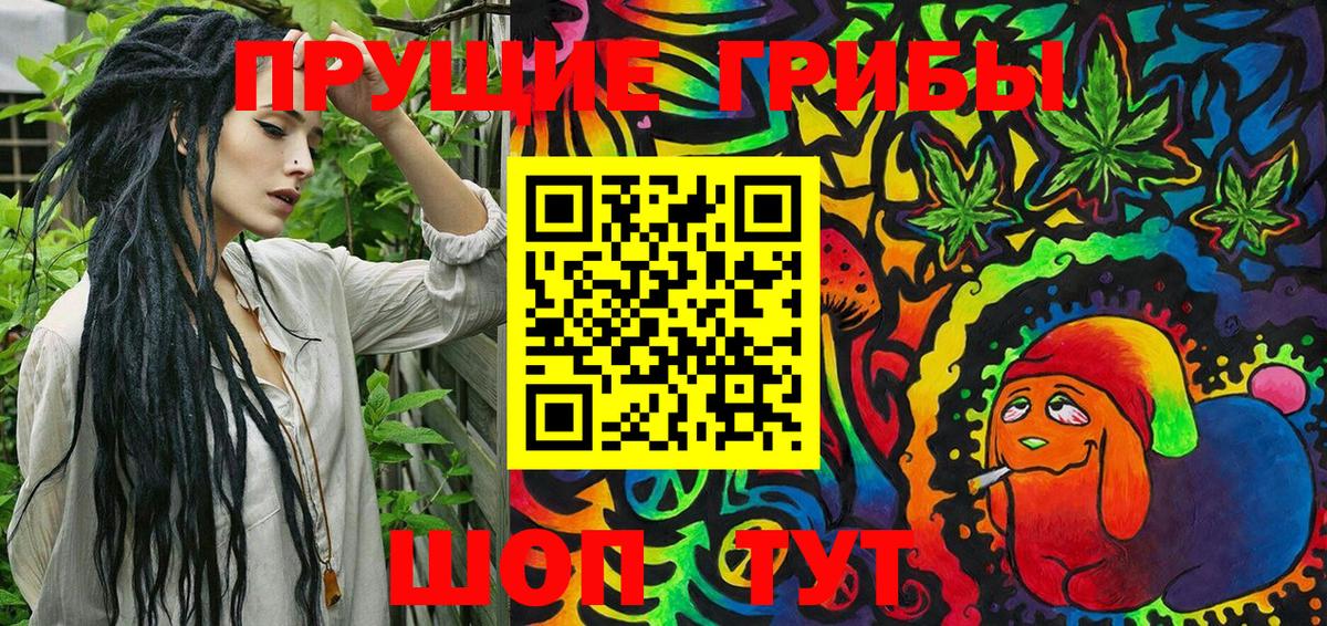 Галлюциногенные грибы Psilocybe Балашиха